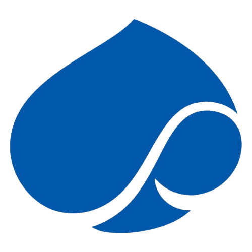 Capgemini